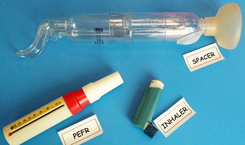 Asthma In Children Dubai | https://www.pediatriciandubai.blog/pediatrician-in-dubai/asthma-in-children-dubai/ Be Conscious Of Triggers To Better Manage Your Child's Asthma Through Medication