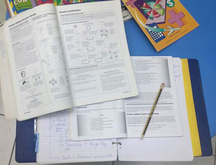 Causes Of Stress In Children Dubai | https://www.pediatriciandubai.blog/causes-of-stress-in-children-dubai/ Highest Contributions From Early Childhood, Genes, And Environment